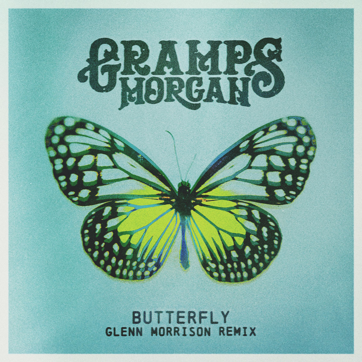 Butterfly Glenn Morrison Remix album cover